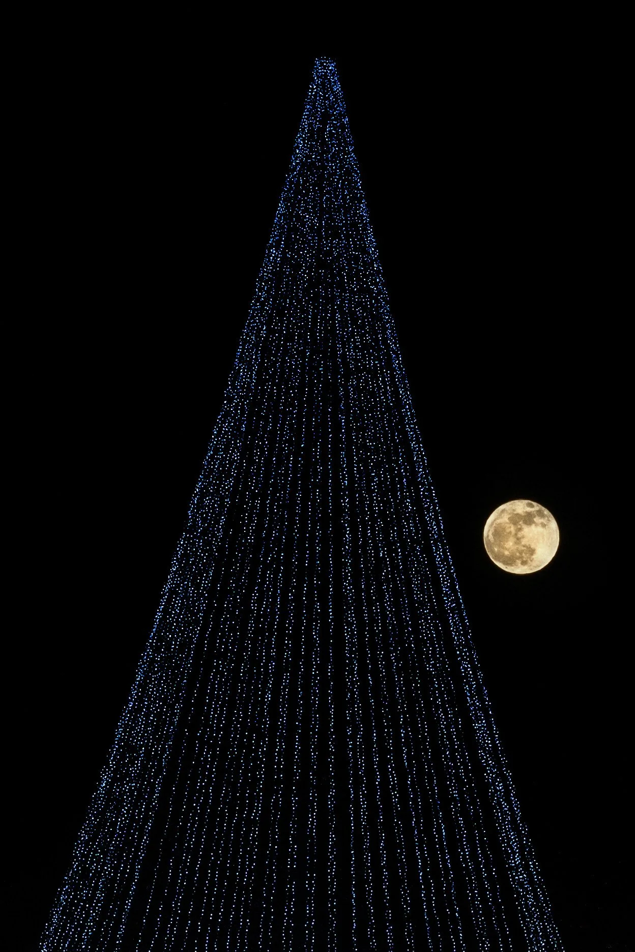 _D4_2565.jpg