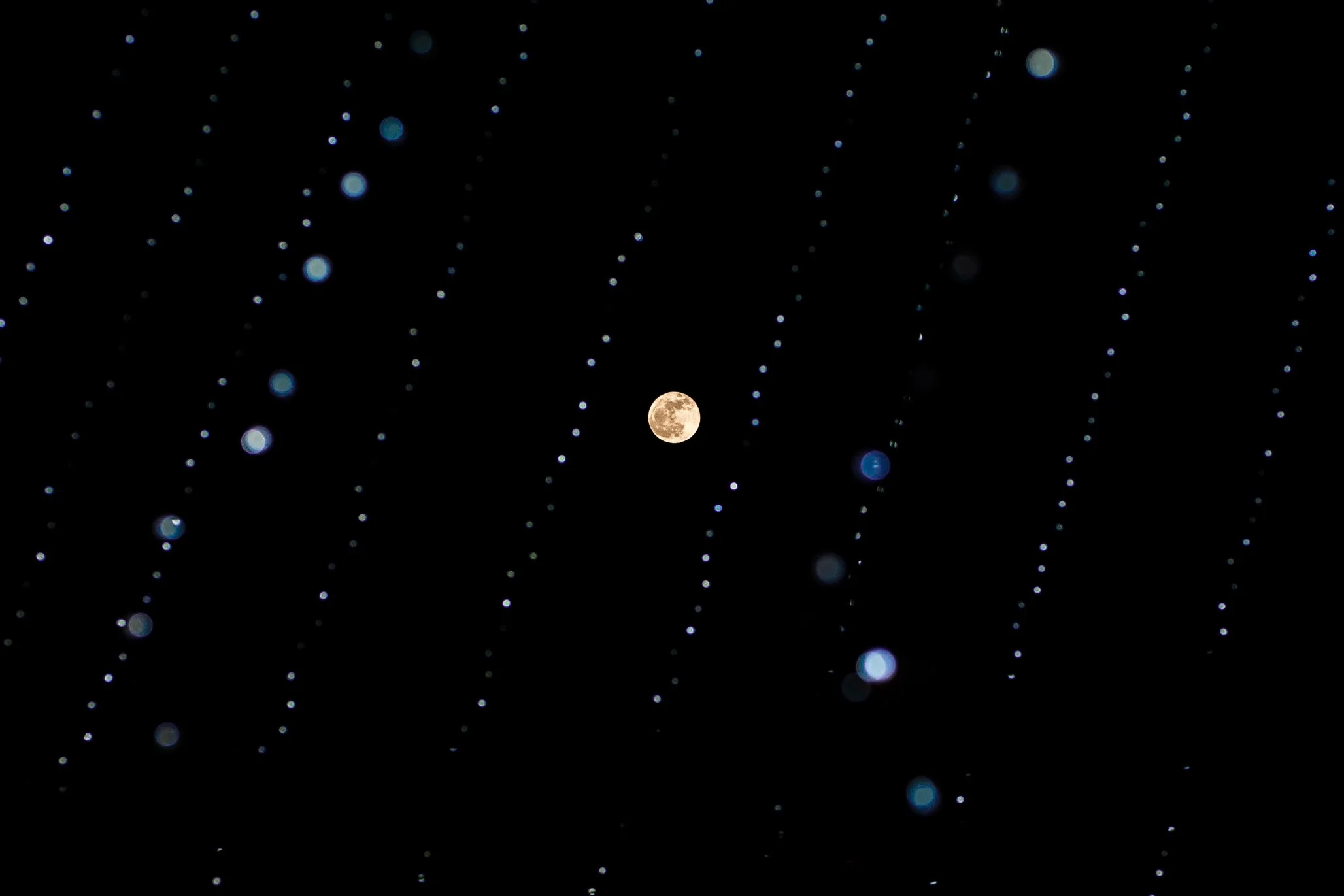 _D4_2587.jpg