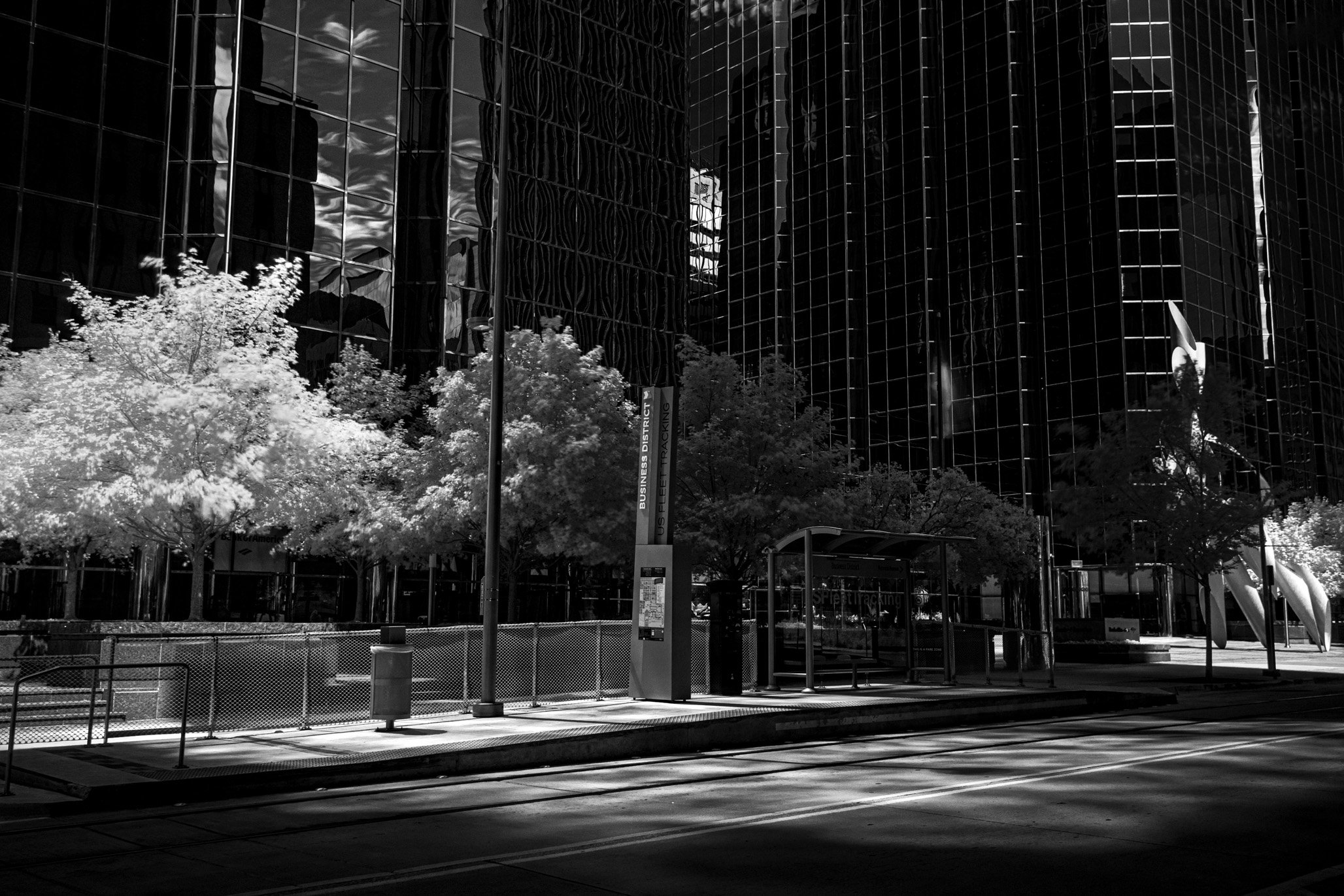 _D4_8393-Edit-2.jpg