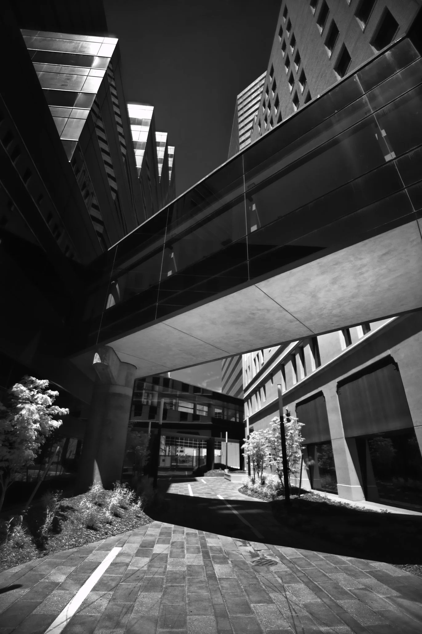 _D4_8400-Edit.jpg