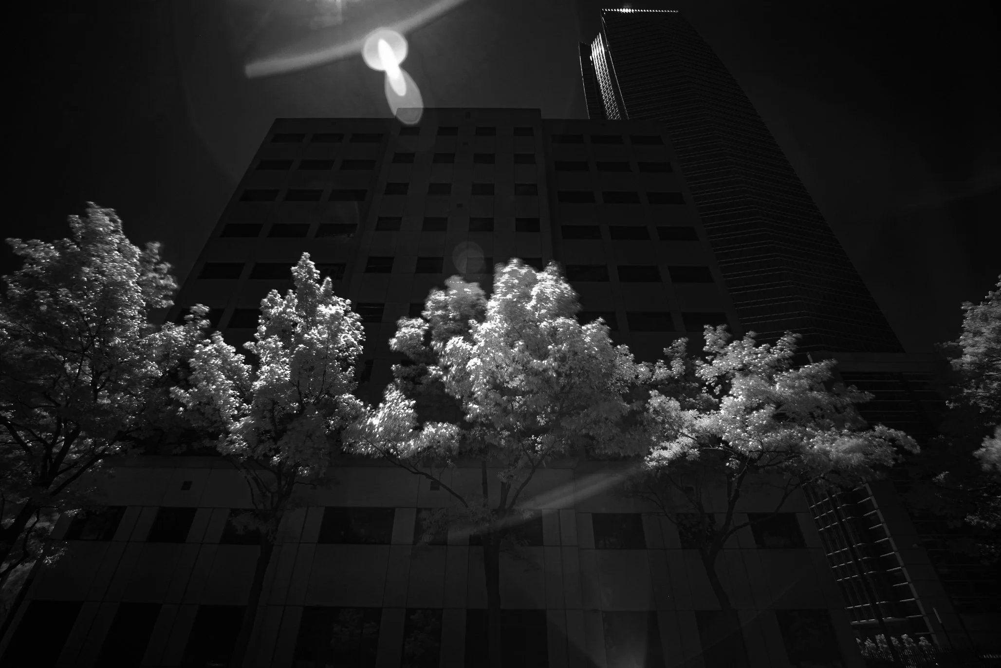 _D4_8408-Edit.jpg