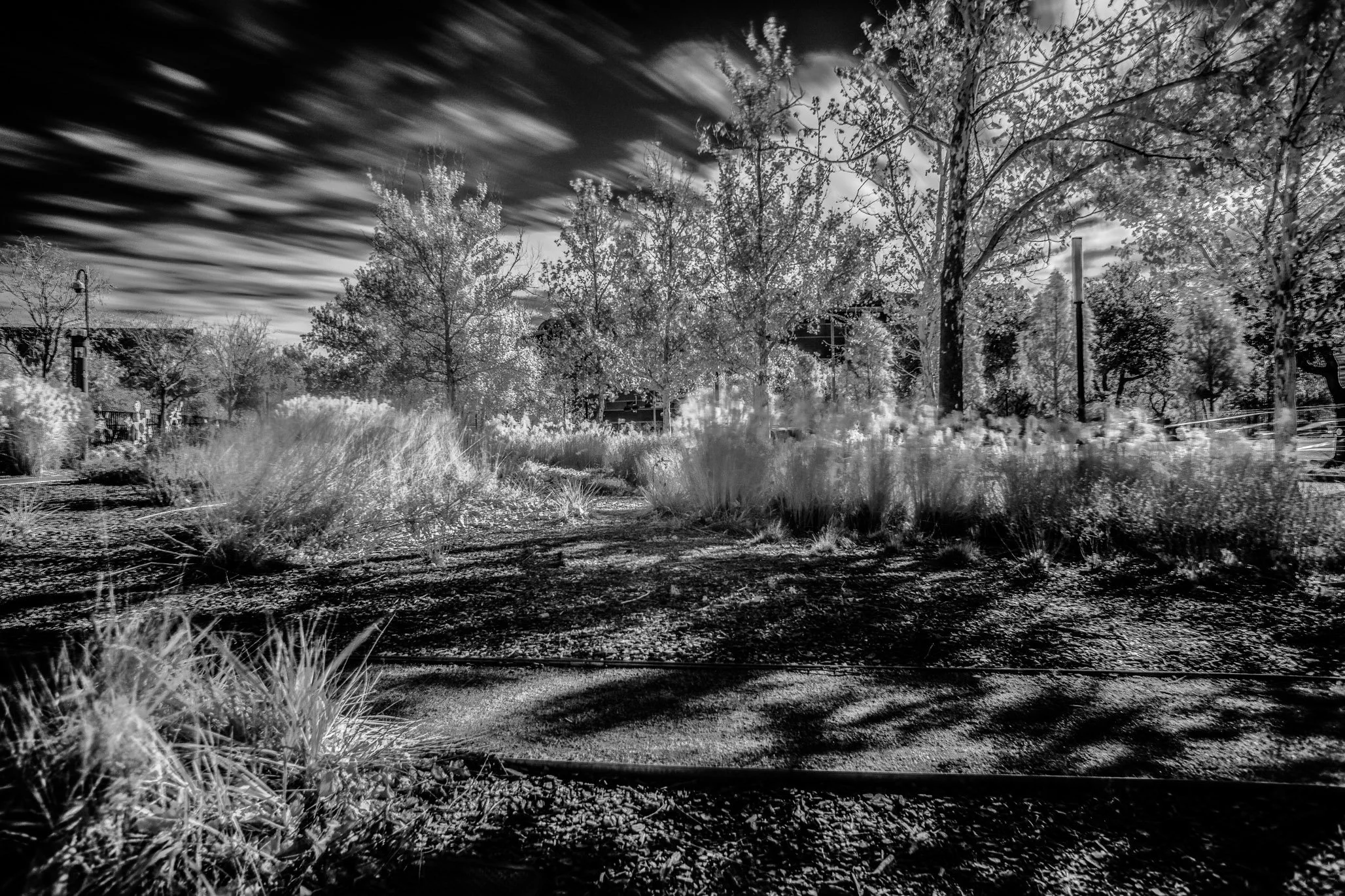 IMG_8501-Edit-2.jpg