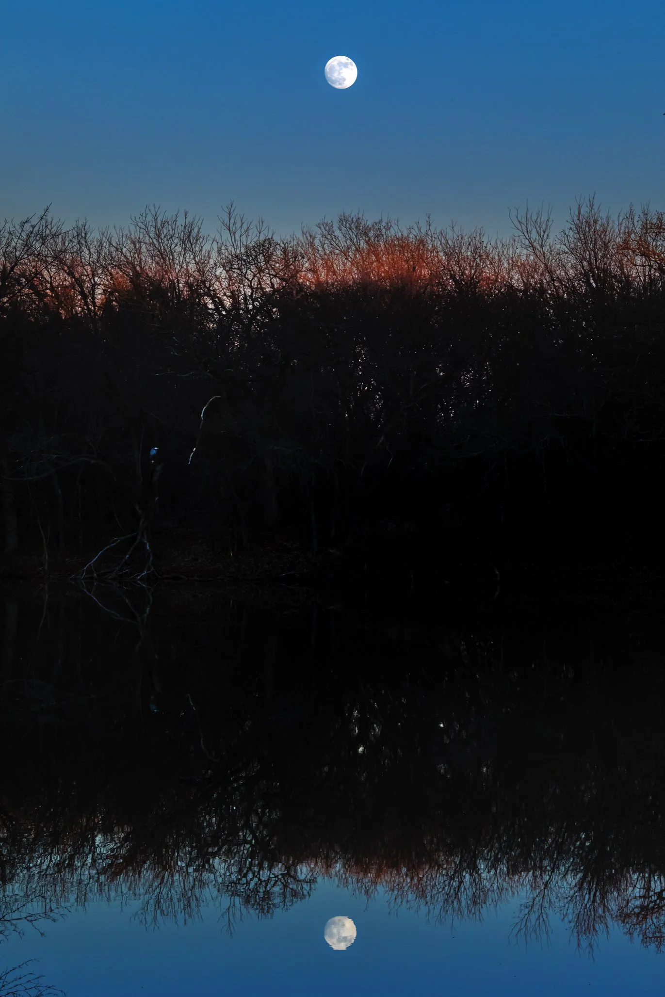 _D4_2074-Edit.jpg