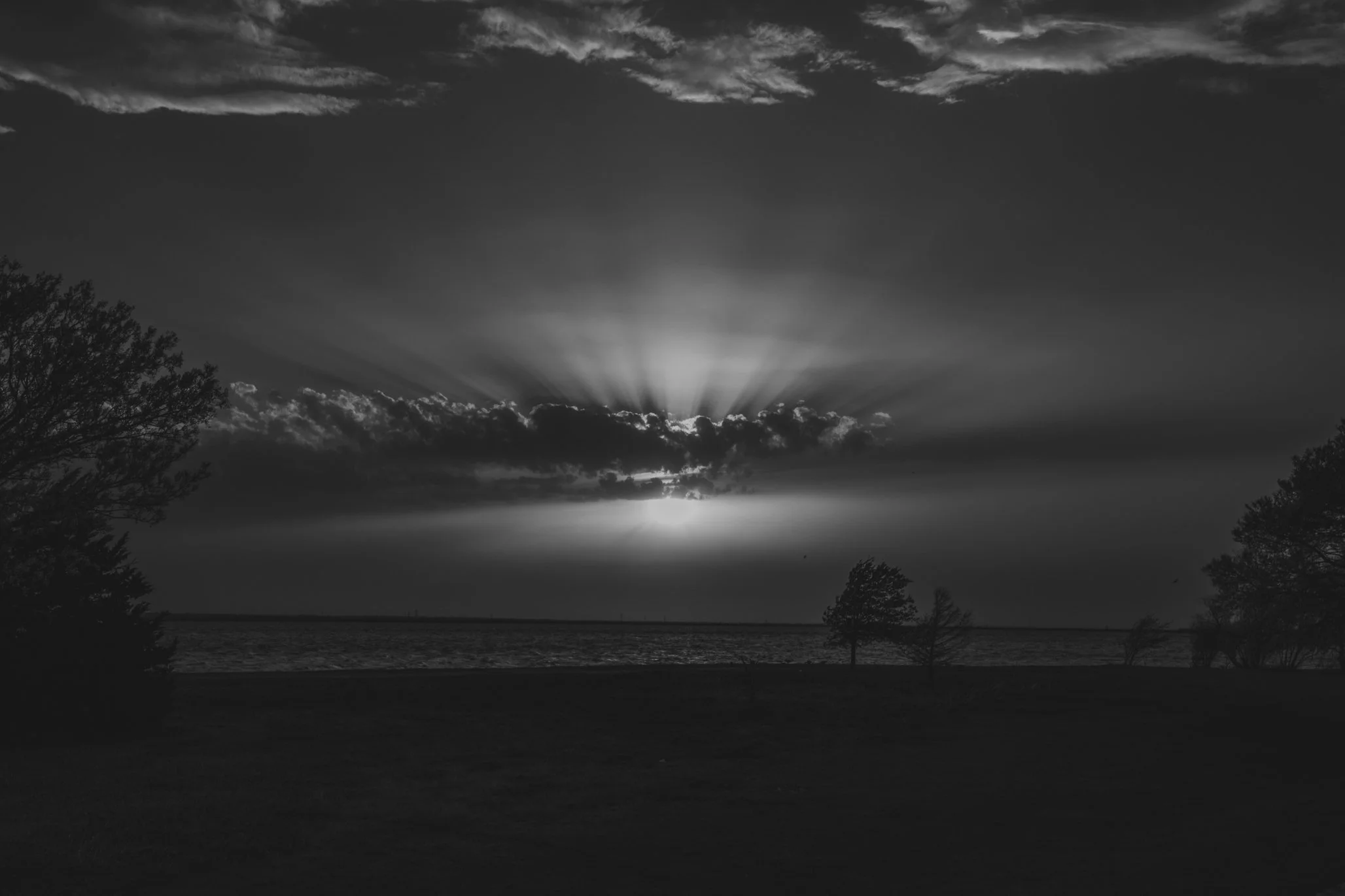 _D4_3741.jpg