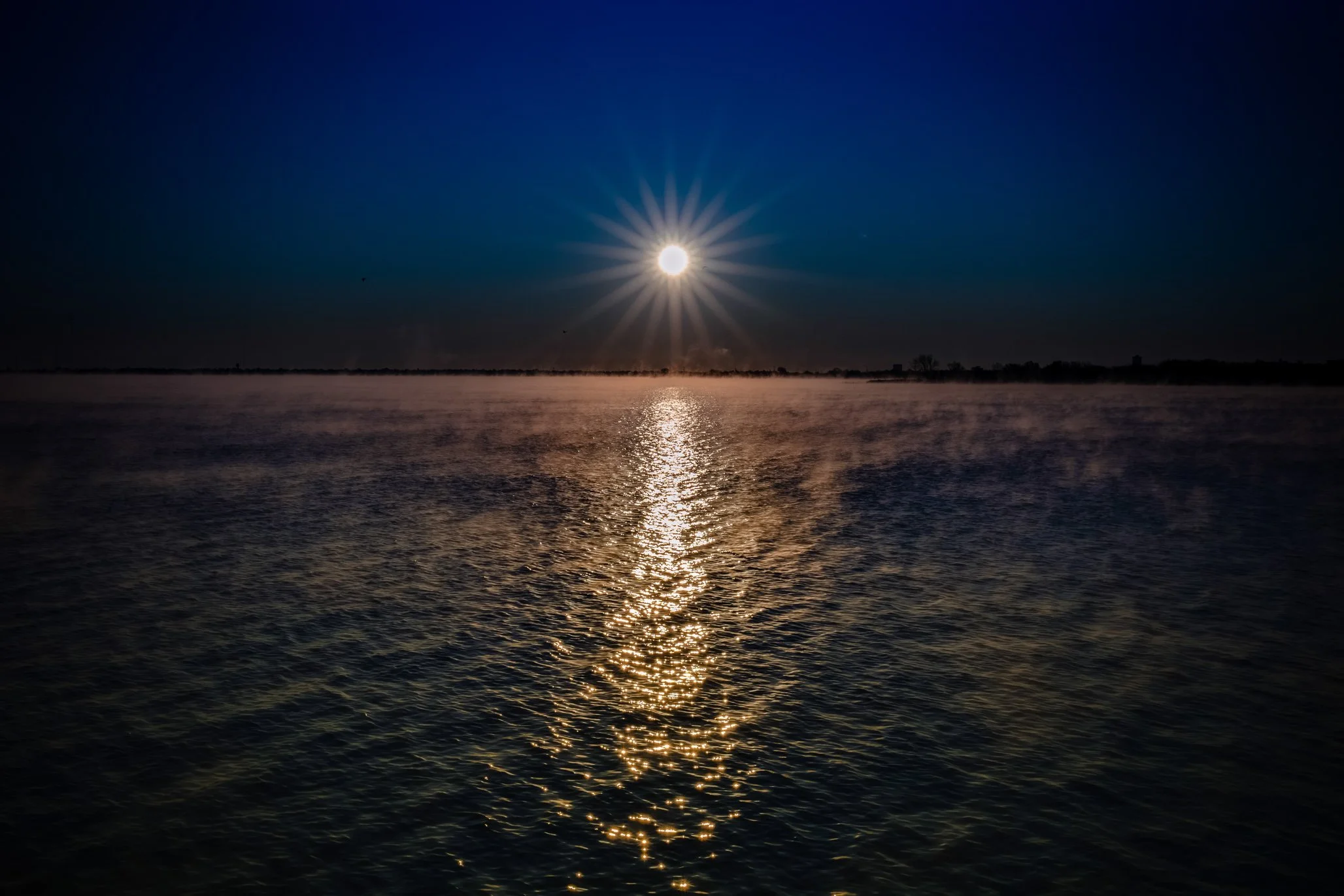 _D4_8305-Edit.jpg