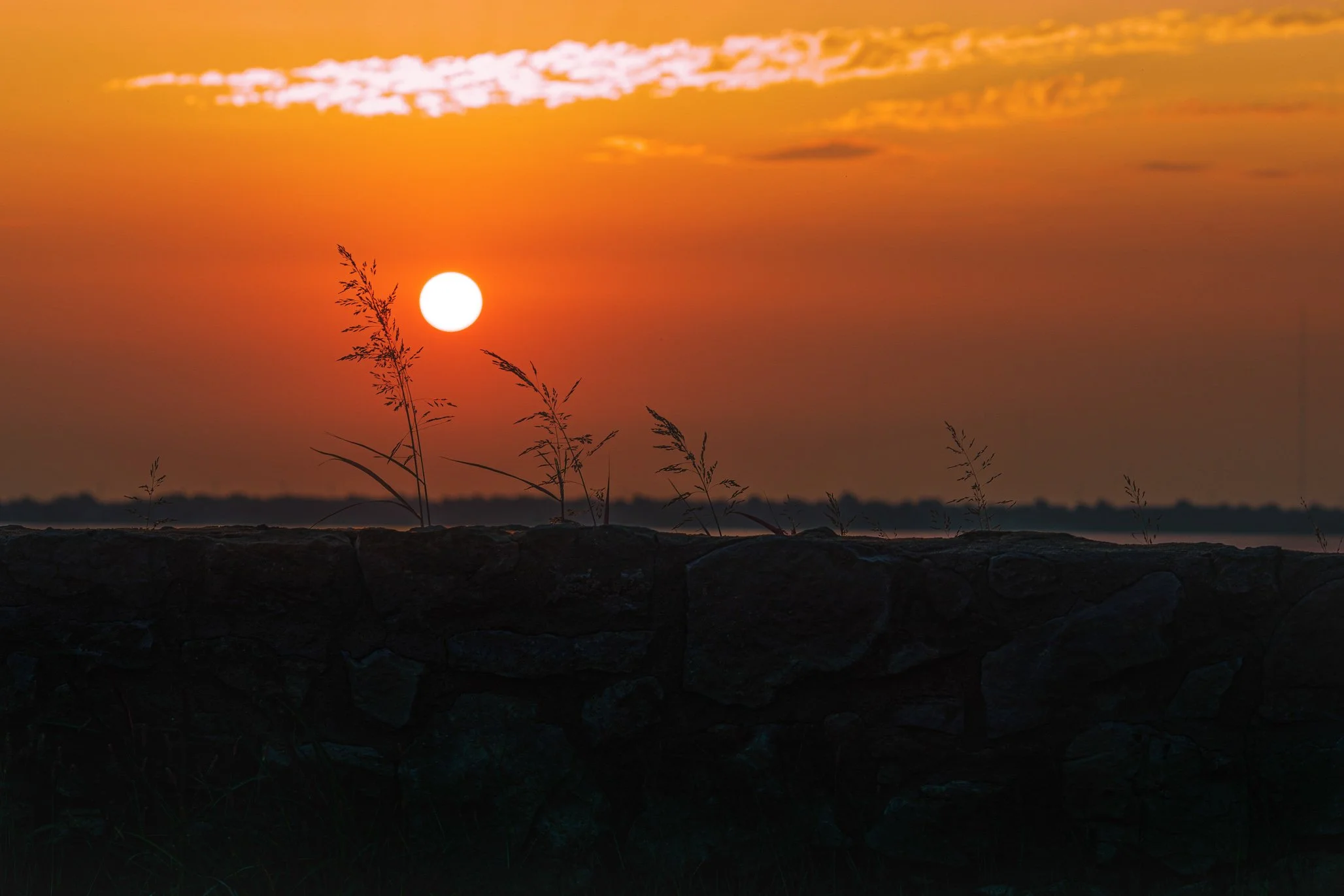 _D4_8752-Edit.jpg