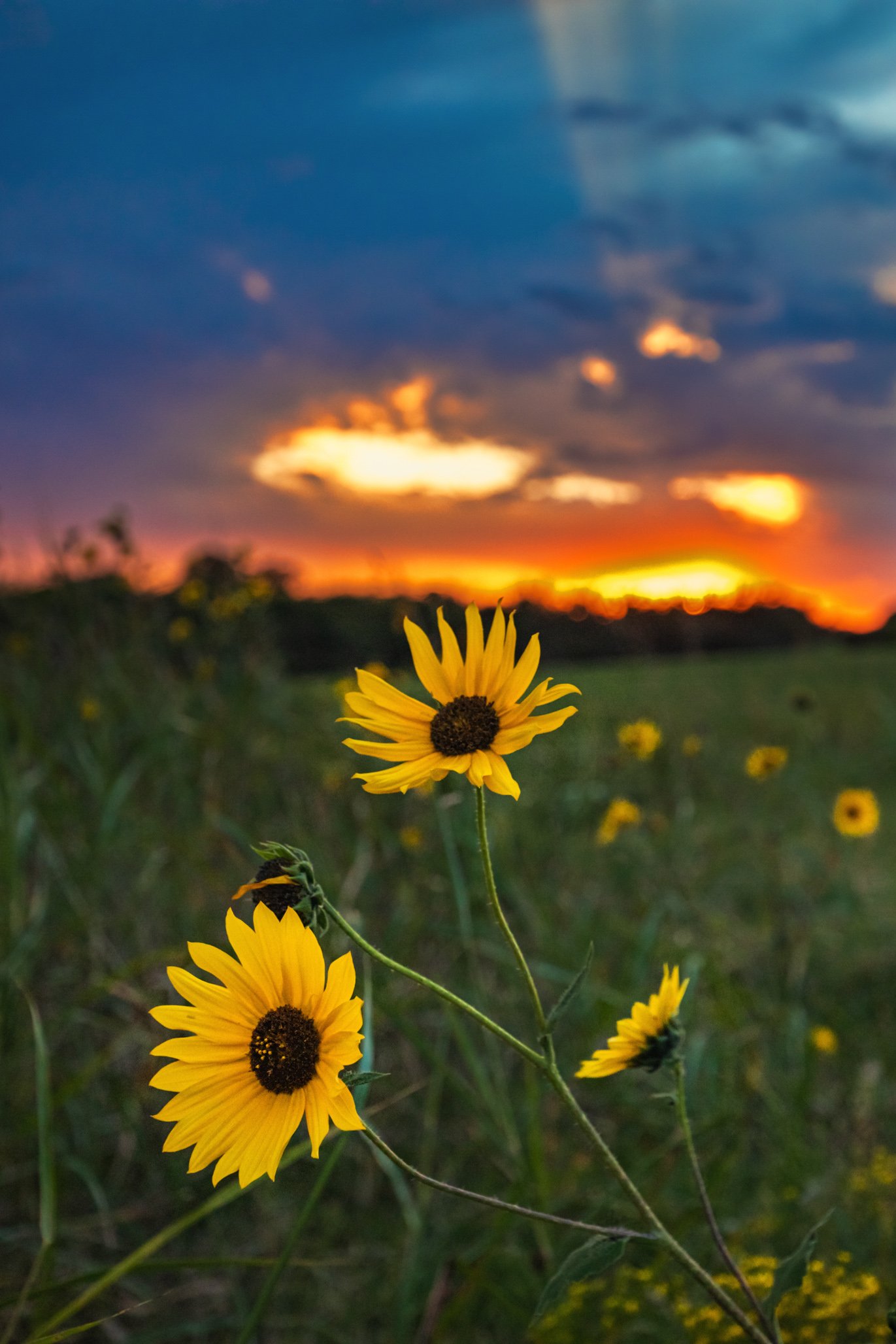 5D4_4839-Edit-2.jpg