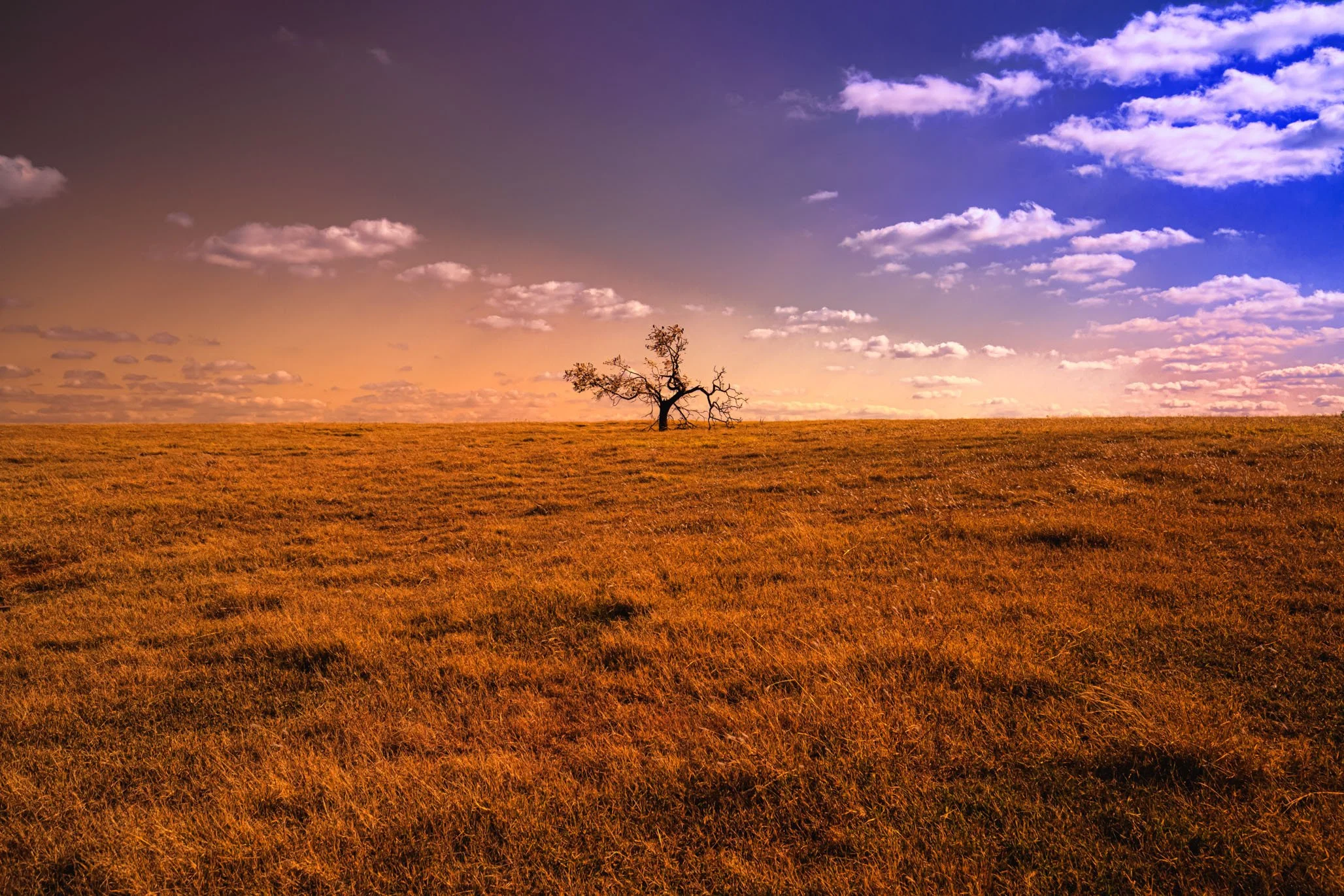 5D4_6145-Edit.jpg