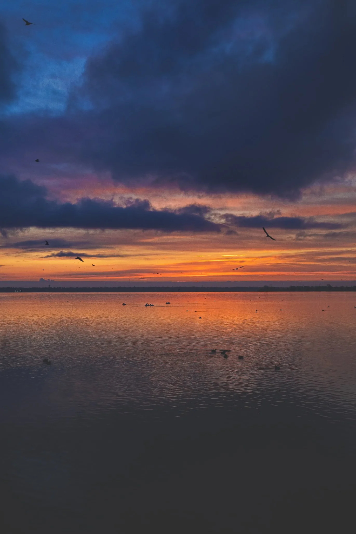 5D4_9424-Edit-2.jpg
