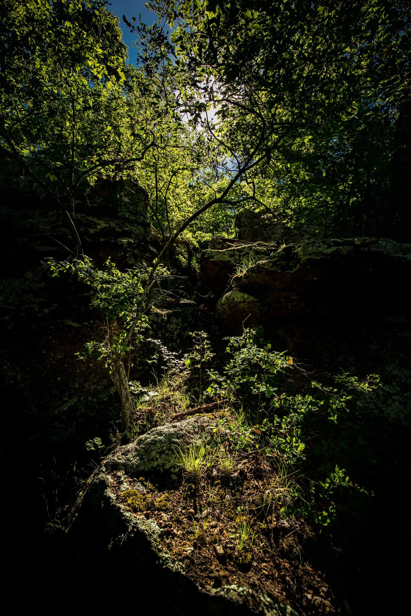 5D4_9428-Edit.jpg