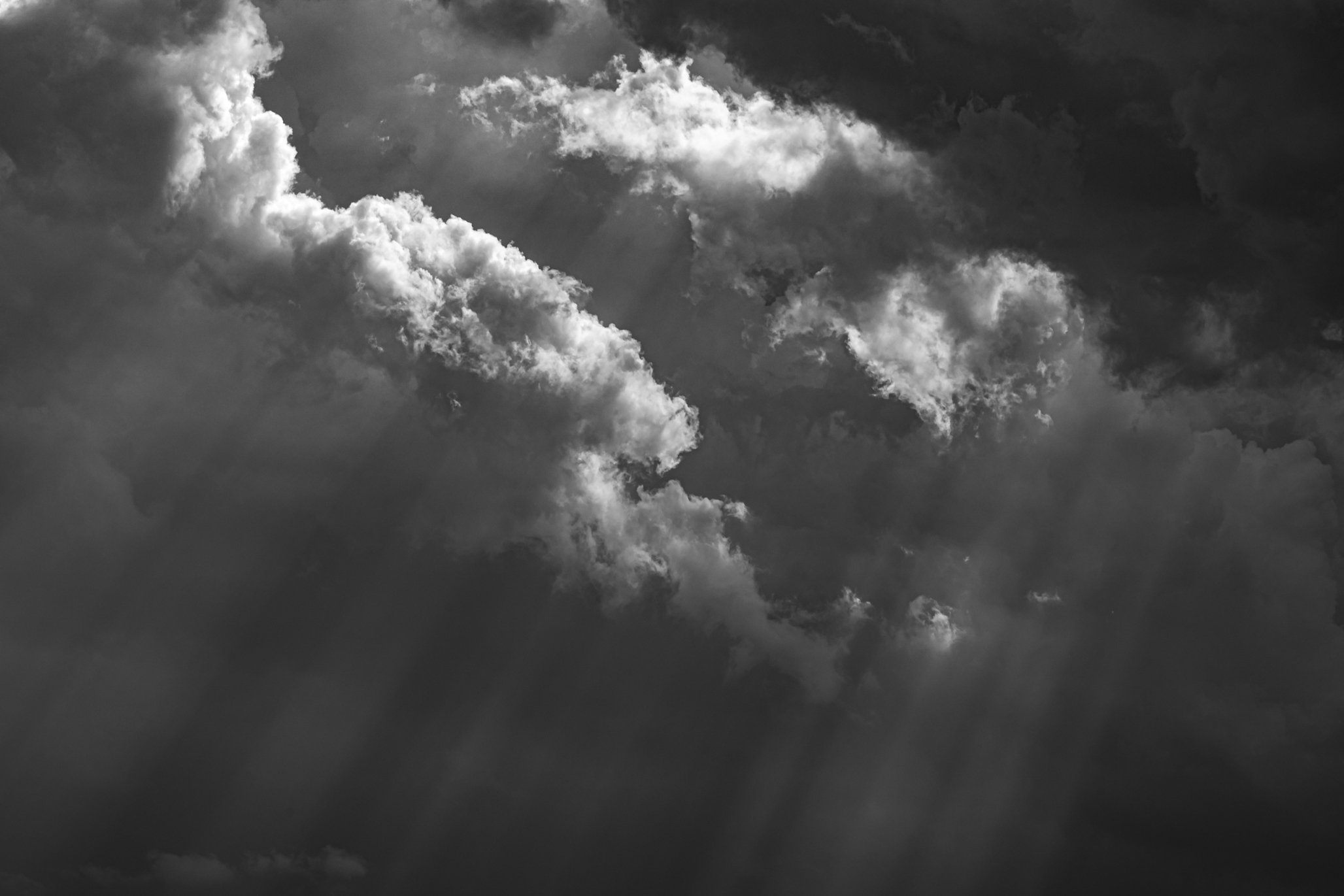 5D4_9596.jpg