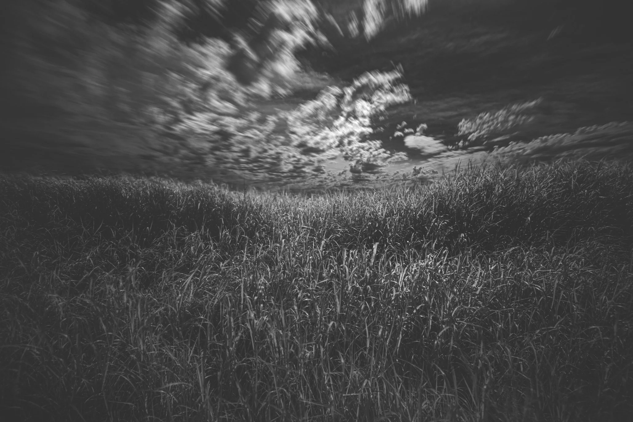 5D4_9887-Edit.jpg