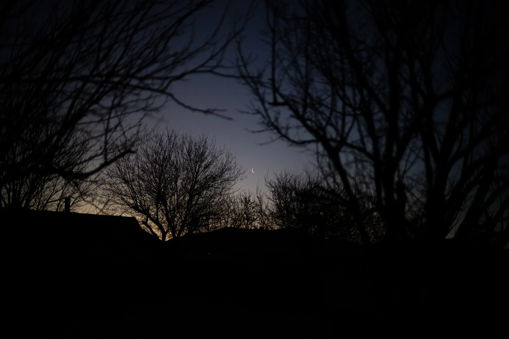 Crescent Moon Before Sunrise.jpg