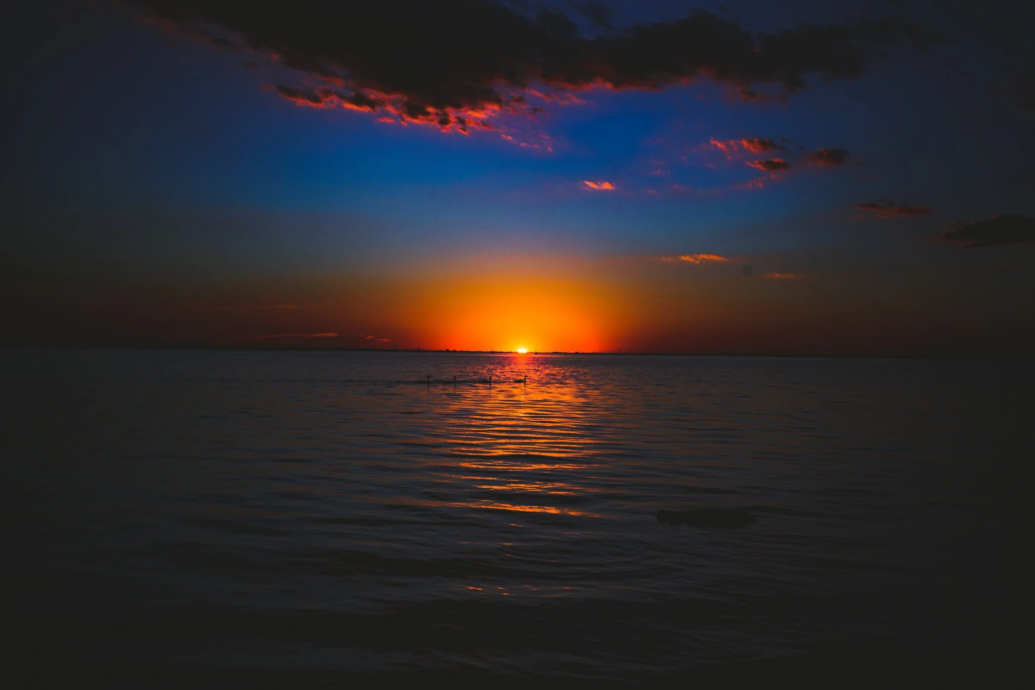 IMG_0147-Edit.jpg