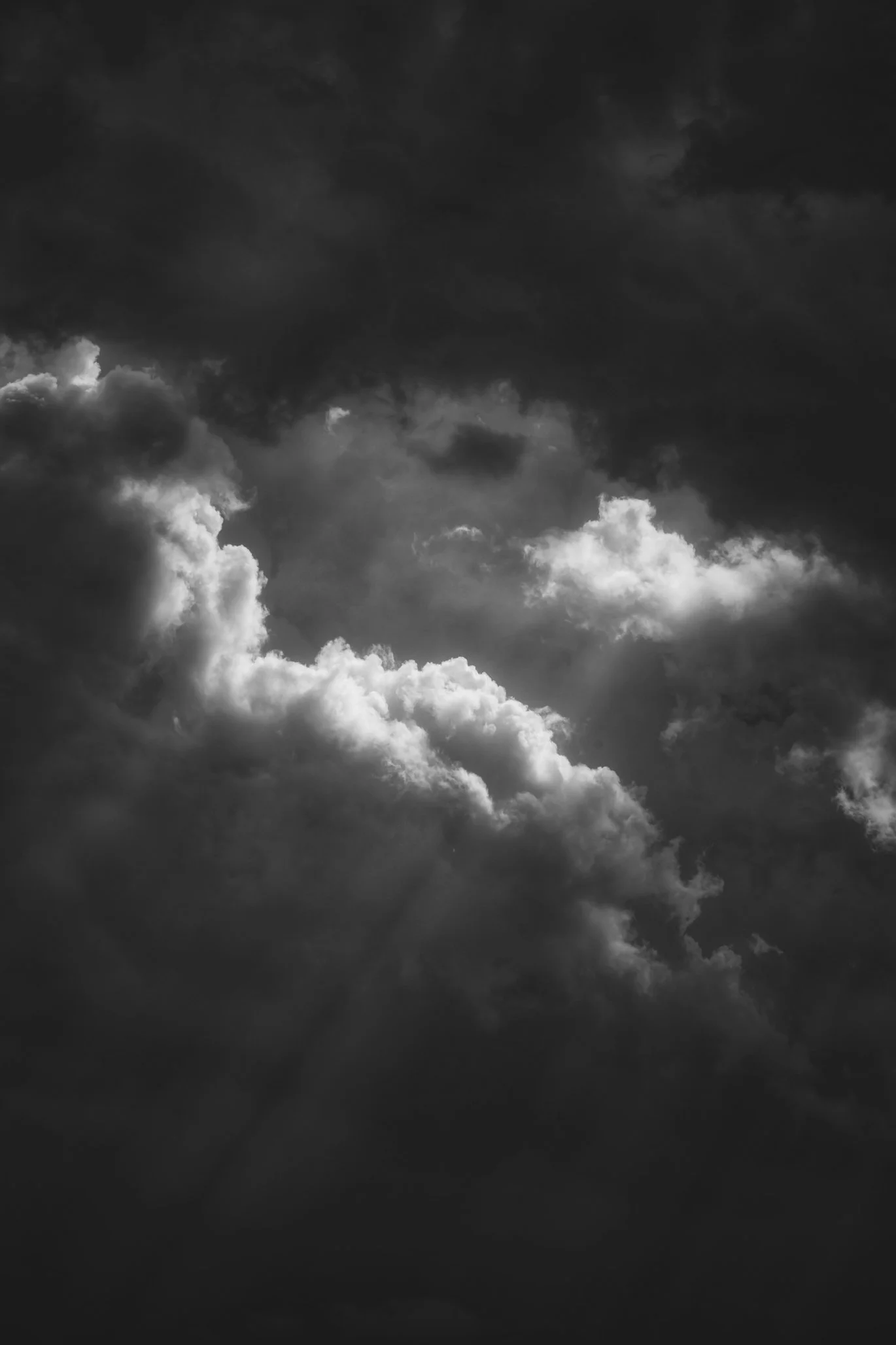 IMG_0831.jpg