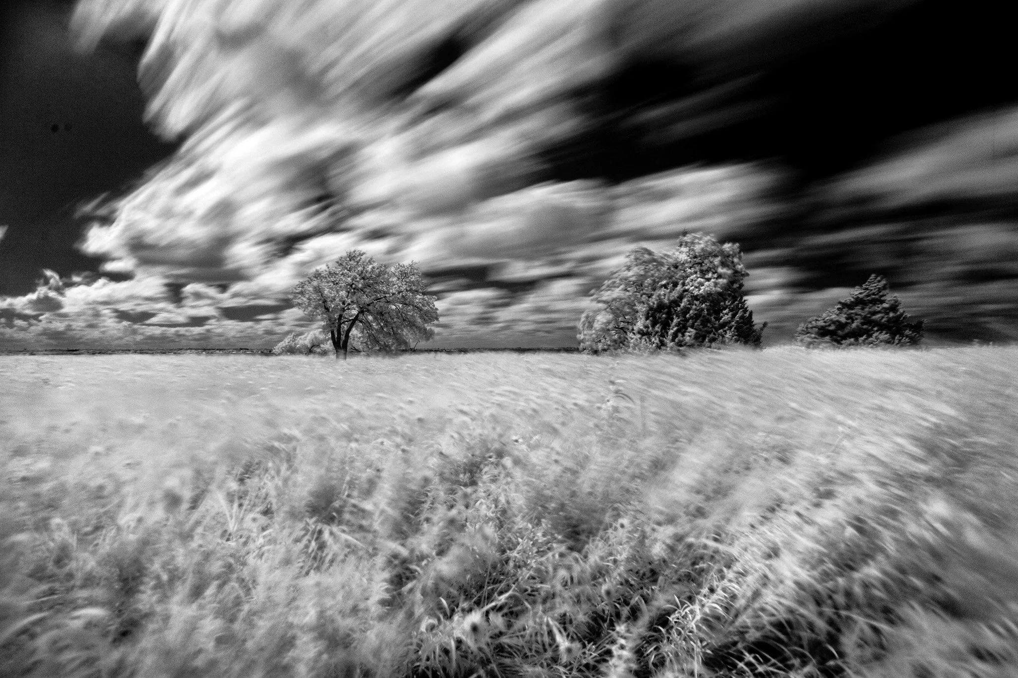 IMG_3345-Edit.jpg