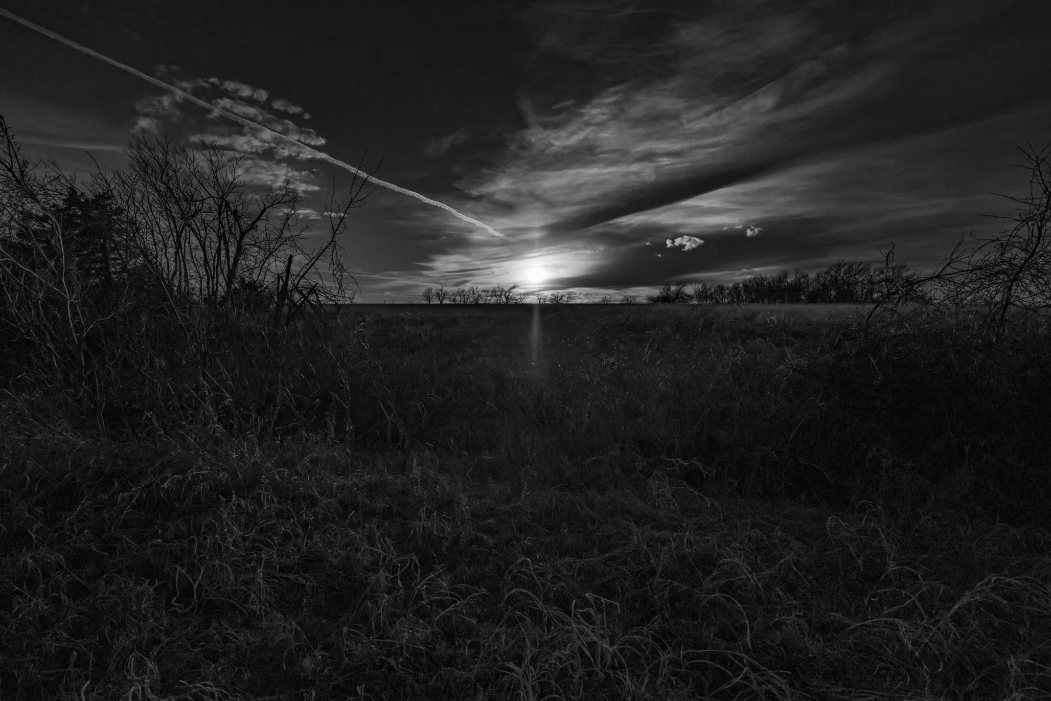 IMG_3937-Edit.jpg