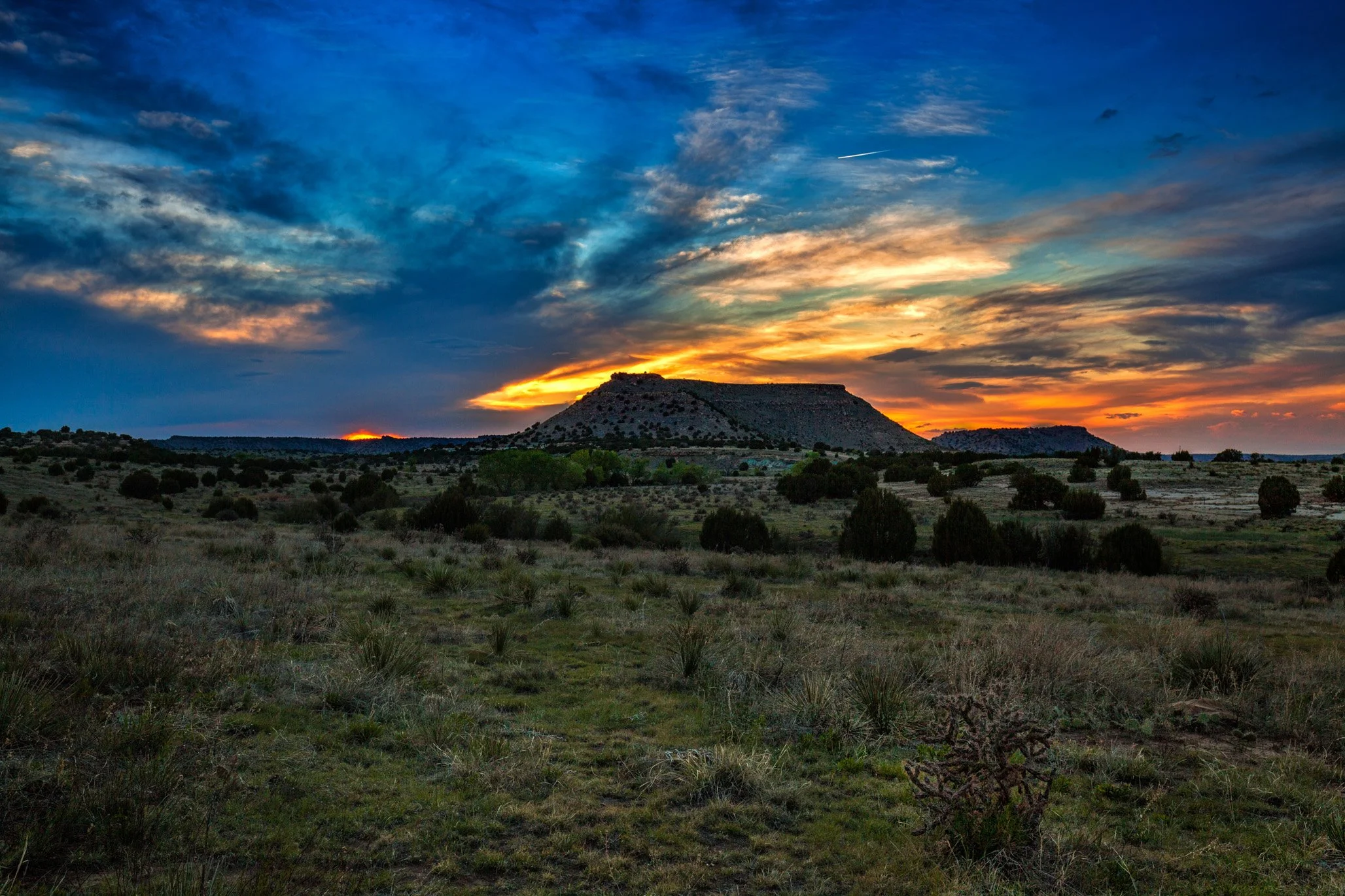 IMG_5883-Edit.jpg