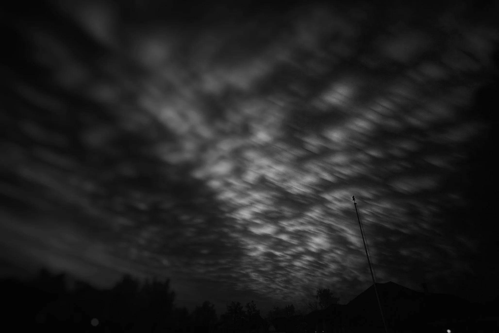 IMG_6197.jpg