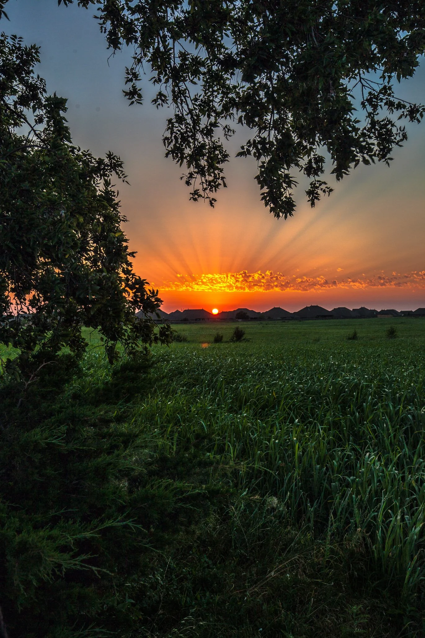 IMG_7897-Edit.jpg