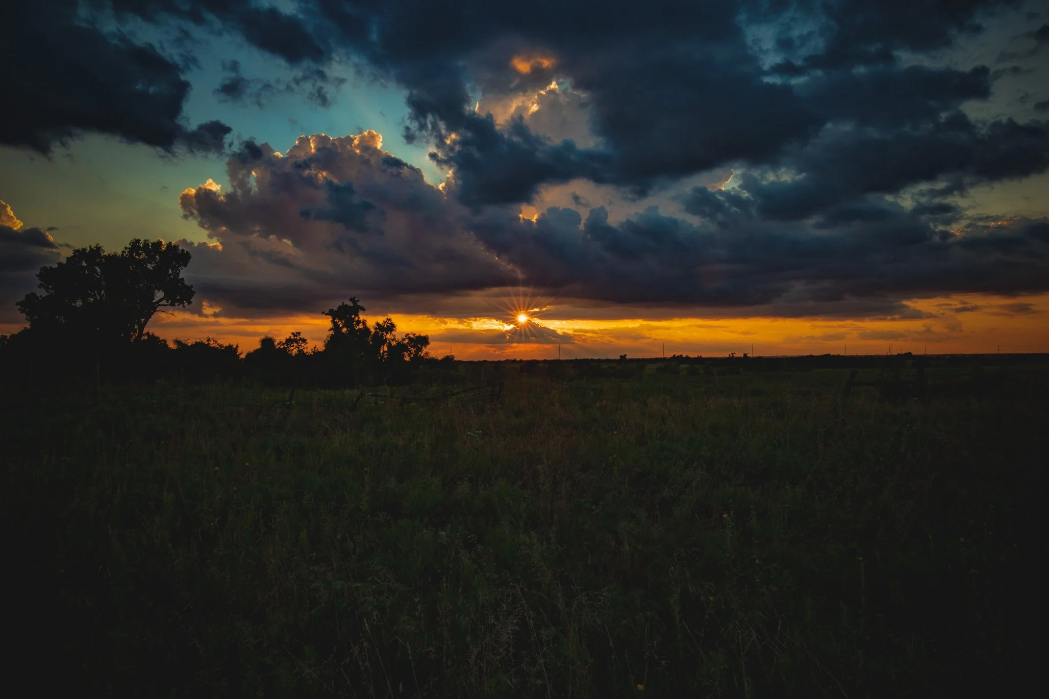 IMG_7987-Edit.jpg