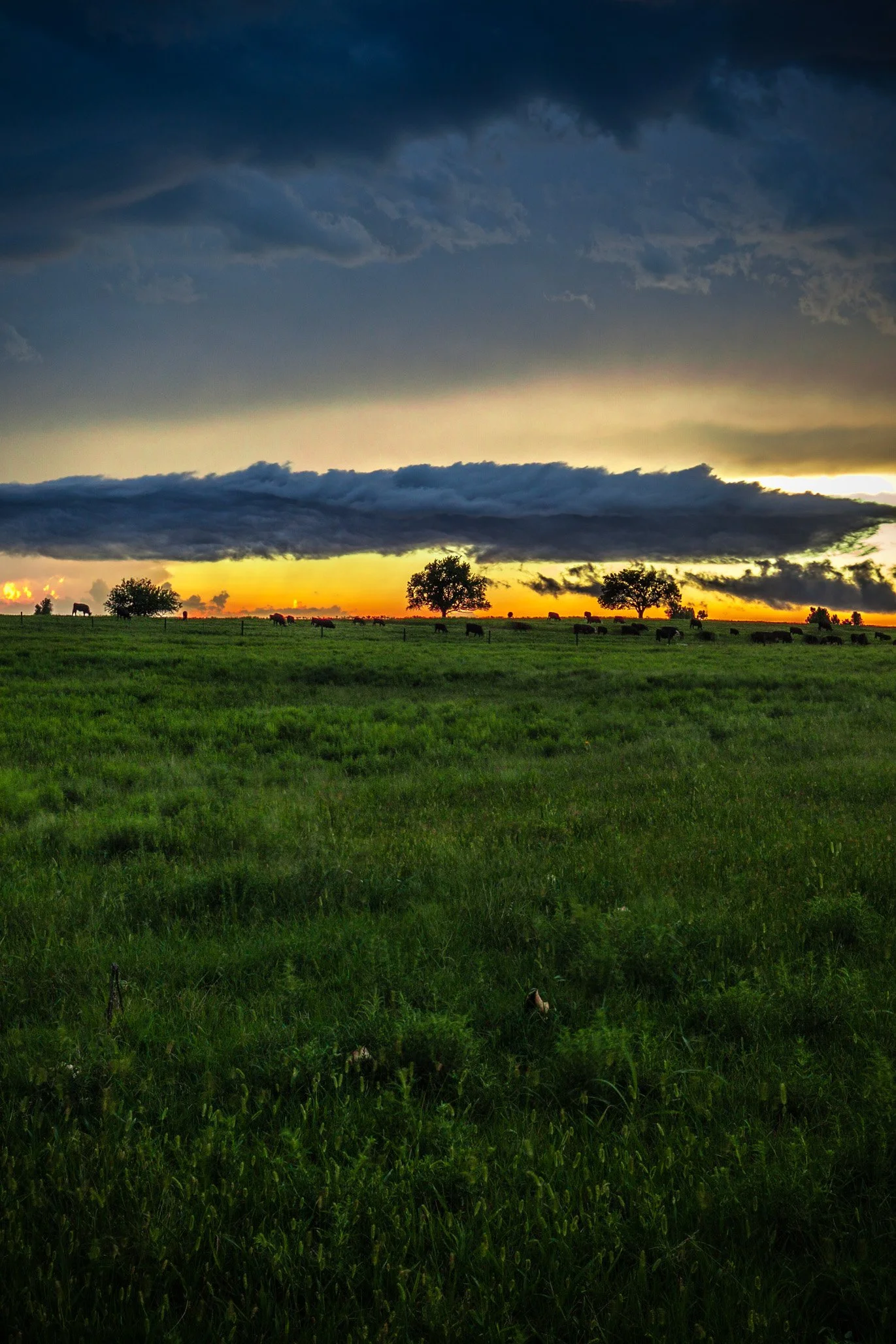 IMG_8008-Edit.jpg