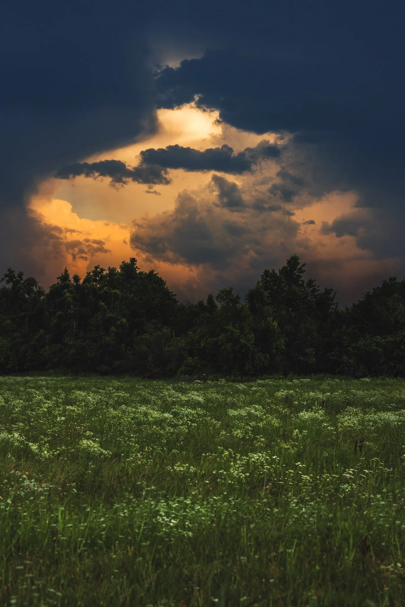 IMG_8039-Edit.jpg