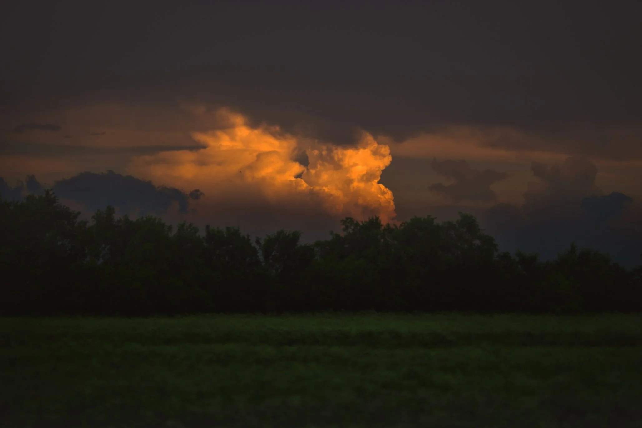IMG_8046-Edit-2.jpg