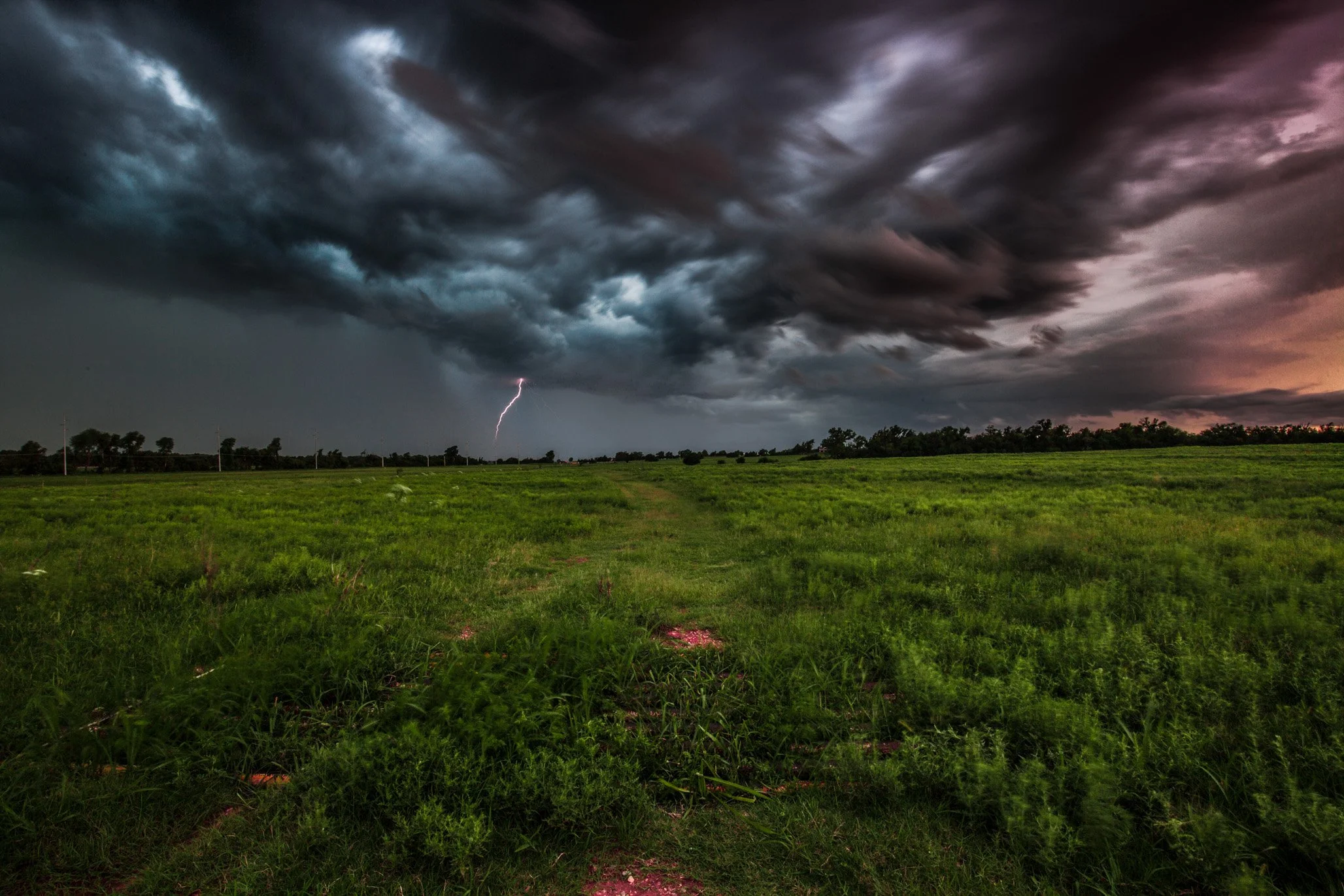 IMG_8014-Edit-Edit.jpg