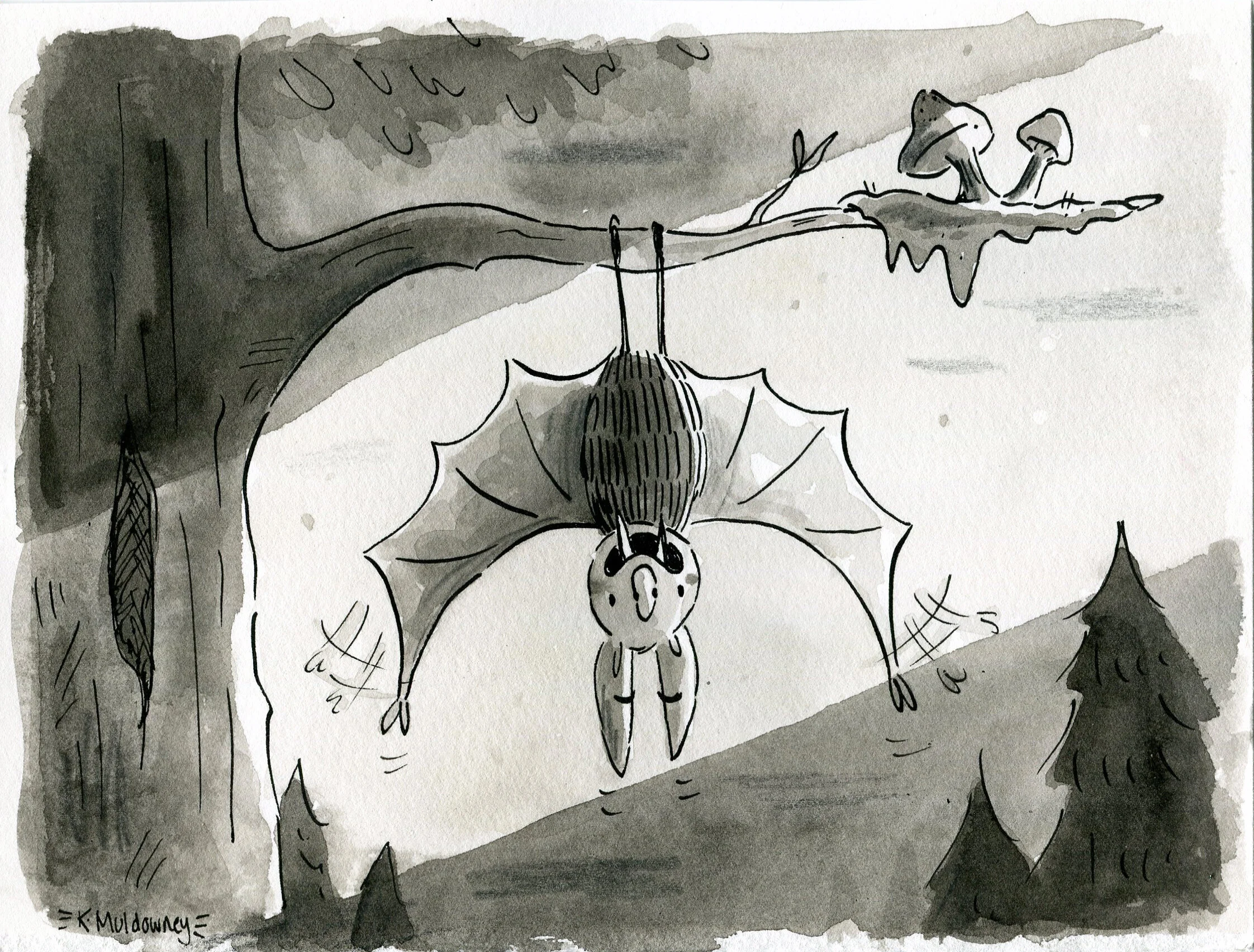 bat 1.jpg