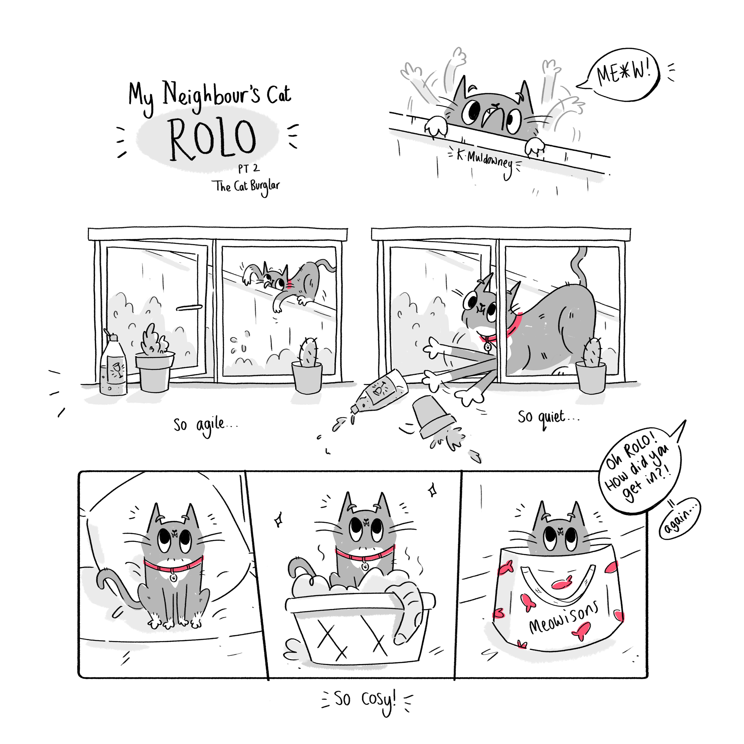 Rolo Pt 2 final.png