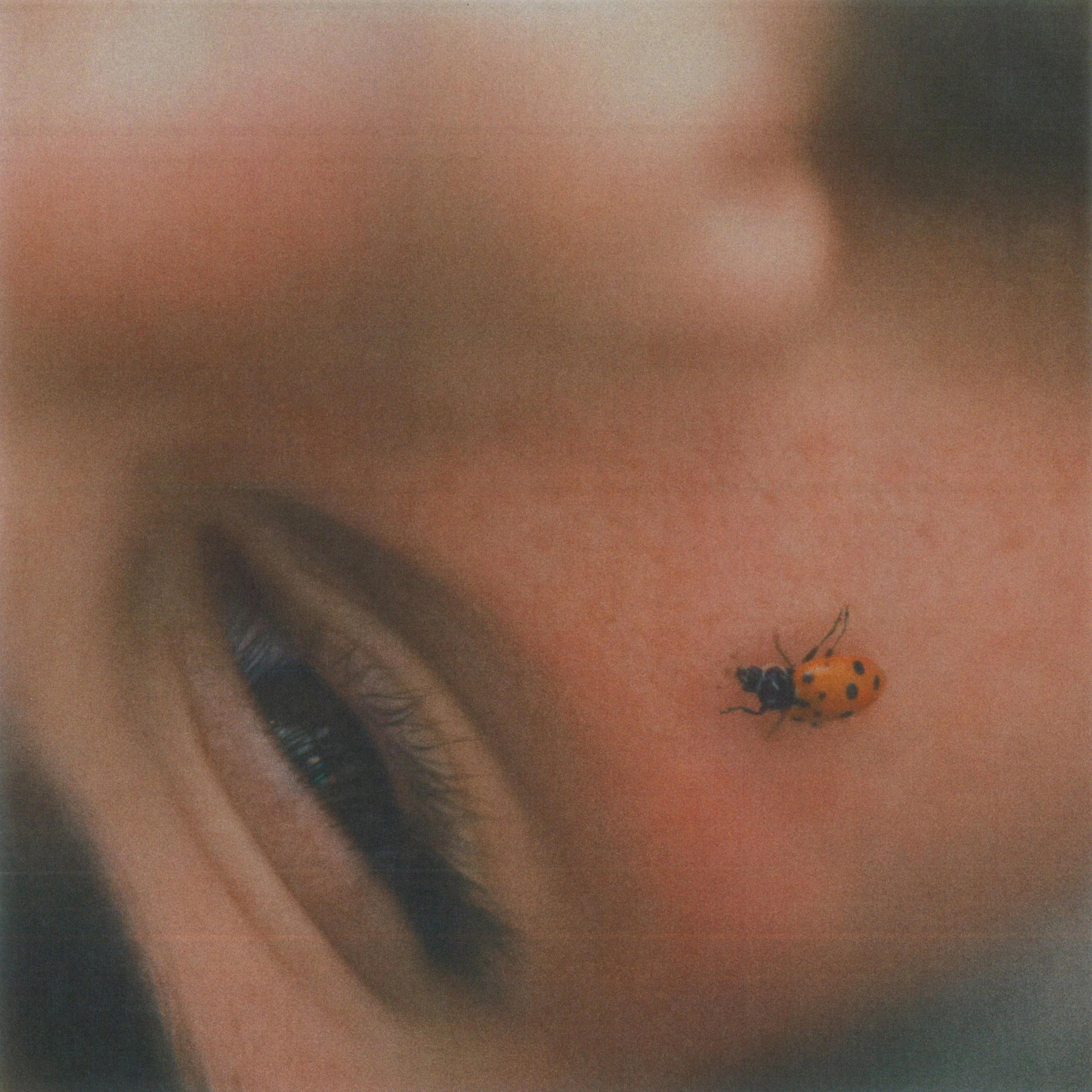 SEEDS (SINGLE) - 2022
