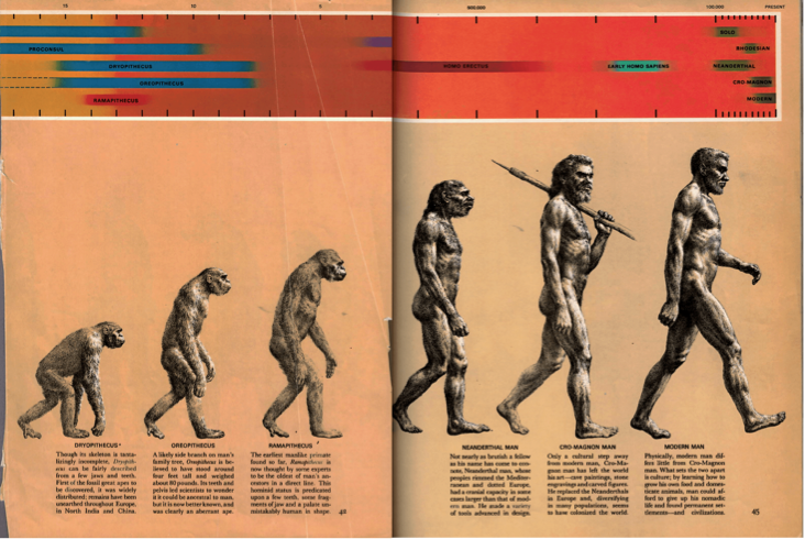 The March of Progress