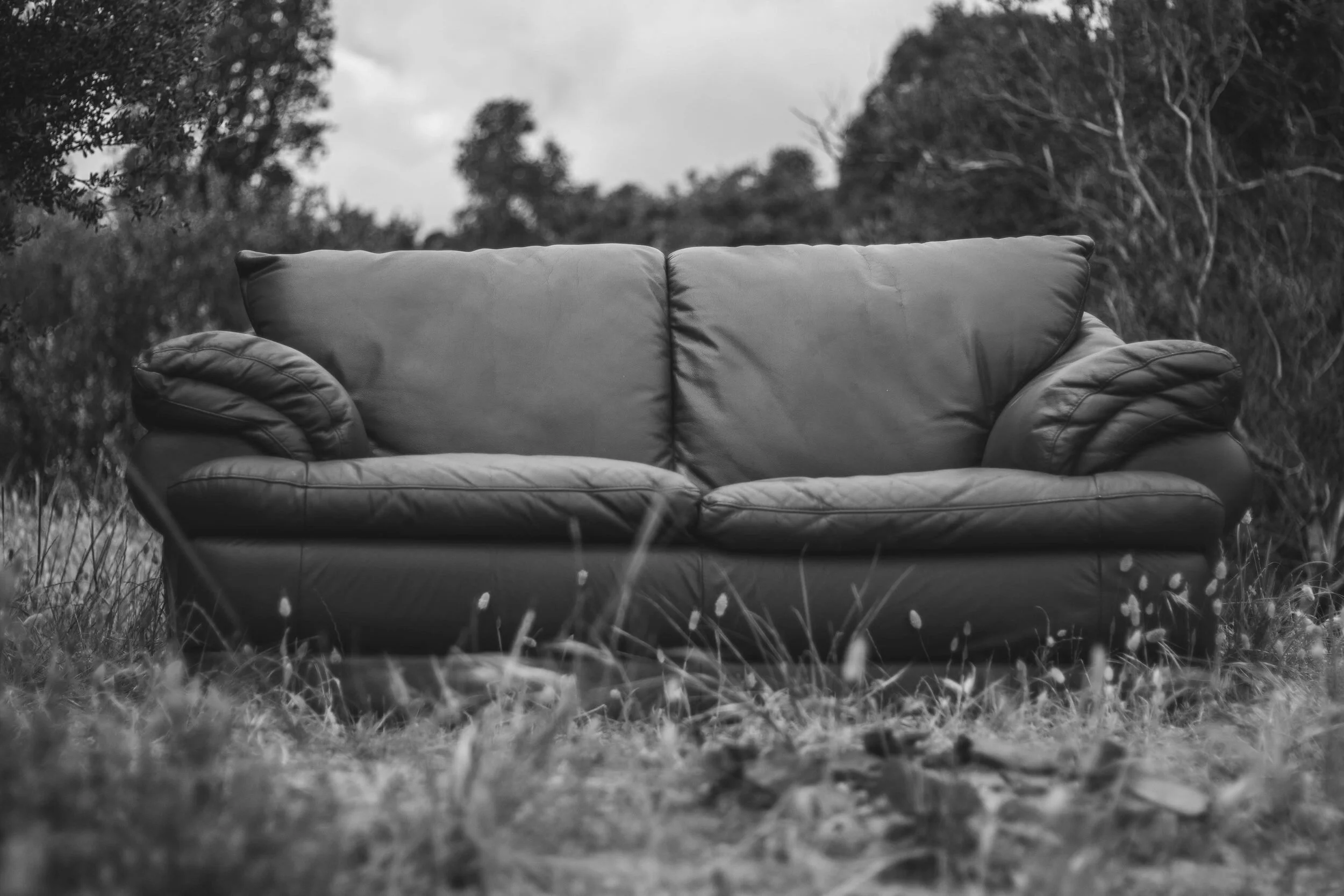 Peg Club; fiction by Adam Hofbauer