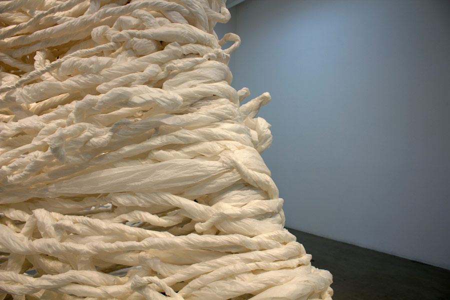  Many Truths. 192"H x 144"W x 138"D. Pine Logs, Natural Manila Rope, Tracing Paper. (2014)