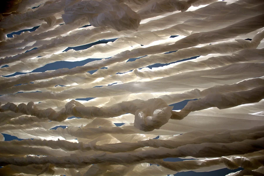 Many Truths. 192"H x 144"W x 138"D. Pine Logs, Natural Manila Rope, Tracing Paper. (2014)