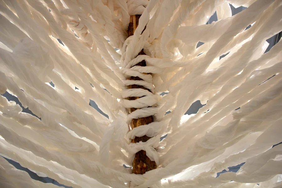 Many Truths. 192"H x 144"W x 138"D. Pine Logs, Natural Manila Rope, Tracing Paper. (2014)