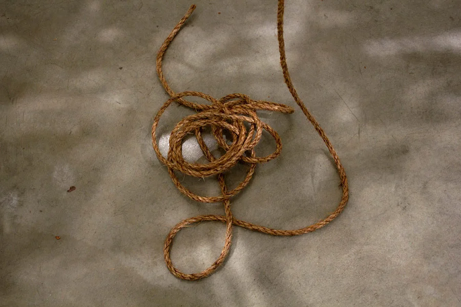 Many Truths. 192"H x 144"W x 138"D. Pine Logs, Natural Manila Rope, Tracing Paper. (2014)