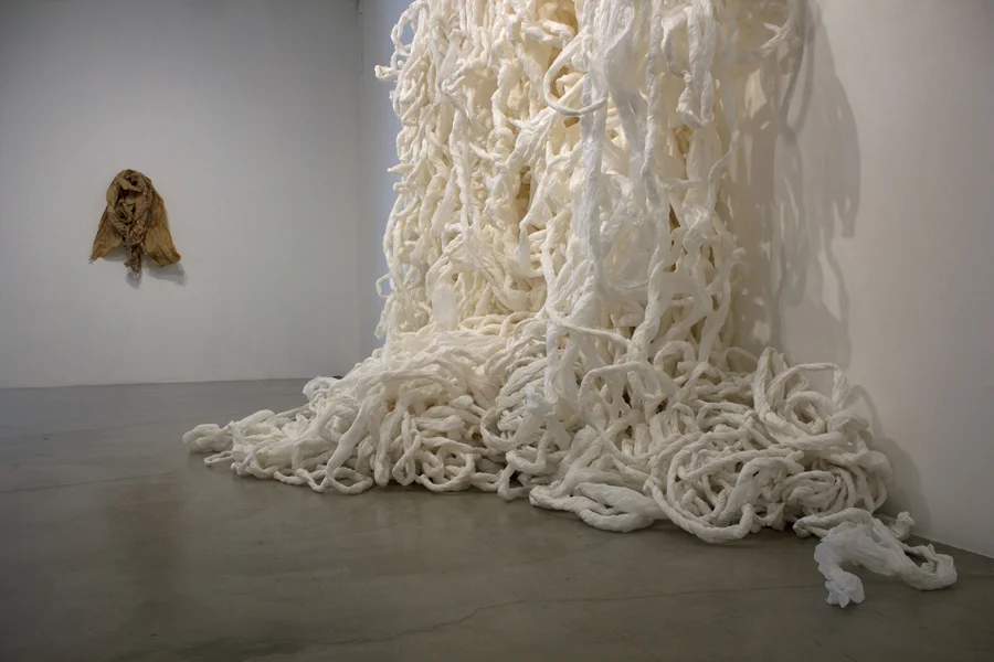 Temporary Shelter. MFA Thesis Exhibition. (2015)