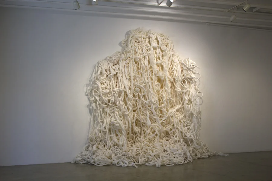 Temporary Shelter. MFA Thesis Exhibition. (2015)