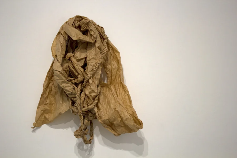 Temporary Shelter. MFA Thesis Exhibition. (2015)