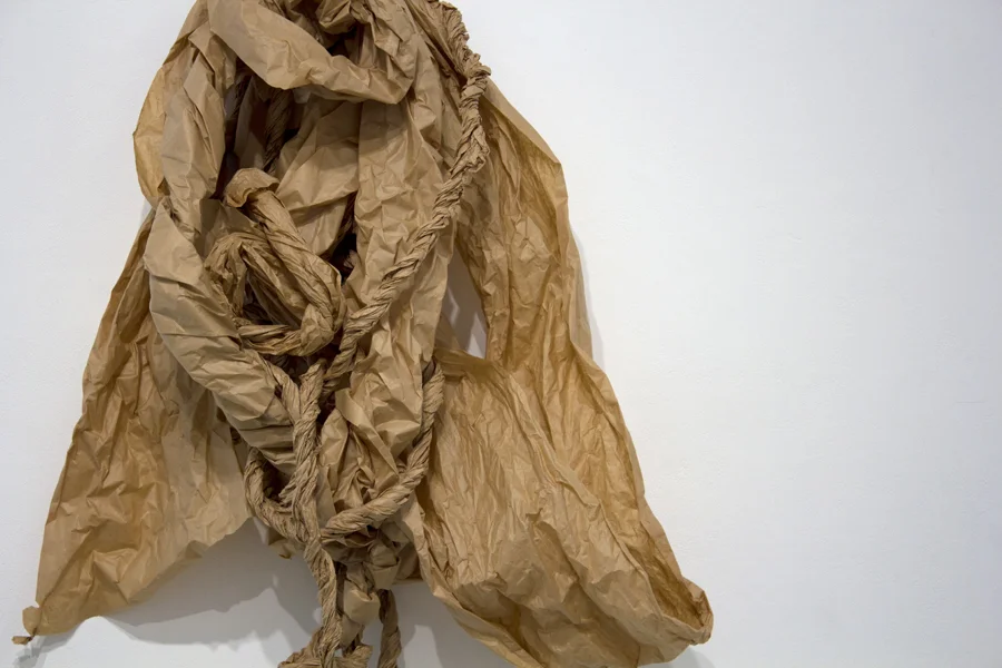 Temporary Shelter. MFA Thesis Exhibition. (2015)