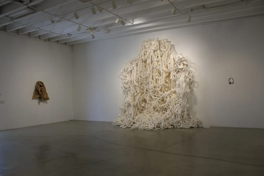 Temporary Shelter. MFA Thesis Exhibition. (2015)