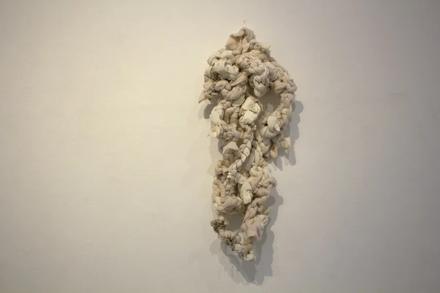 Temporary Shelter. MFA Thesis Exhibition. (2015)