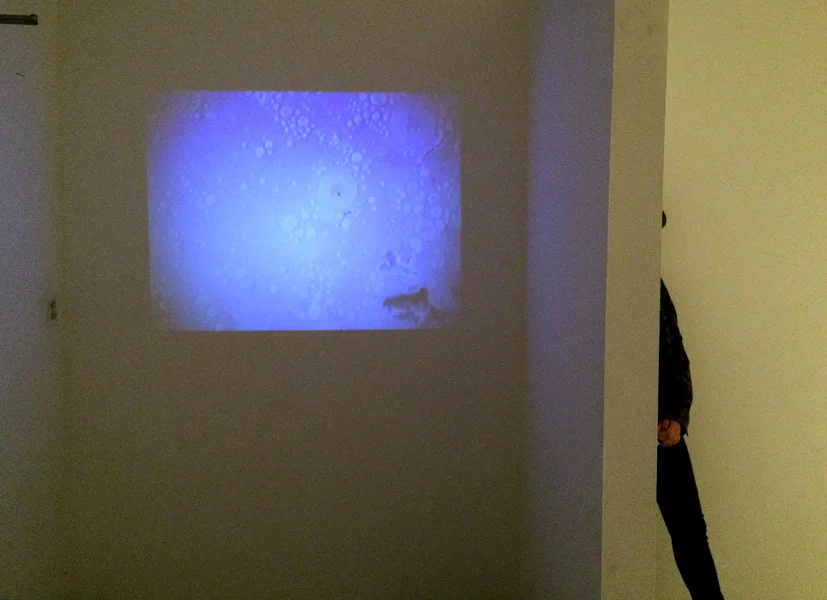 No Innocent Bystanders. Dimensions Variable. Porcelain Forms, Video Projection, Audio. (2014)