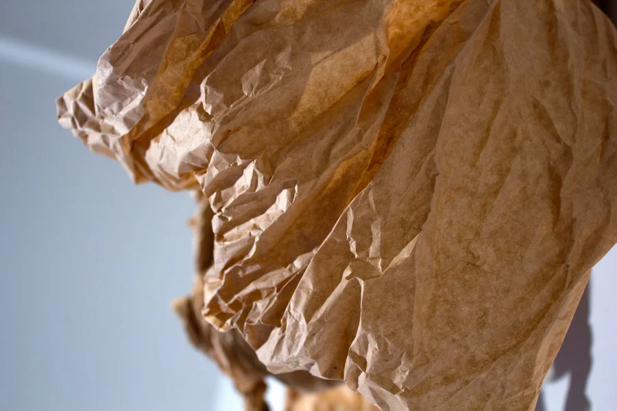 Honey Buzzard. 32"W x 44"H x 14"D. Butcher Paper. (2014)