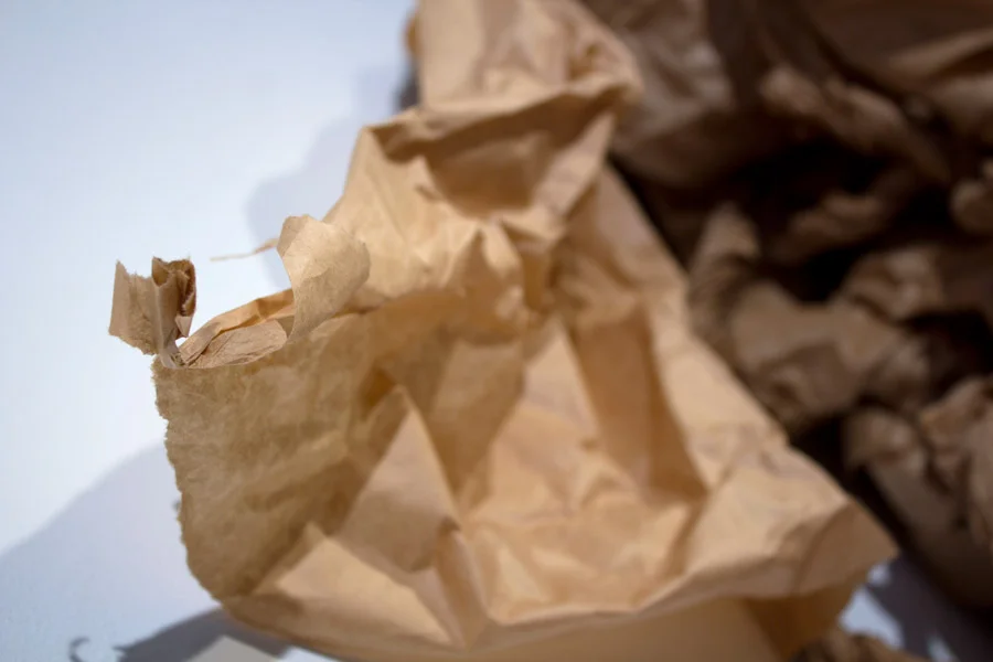 Honey Buzzard. 32"W x 44"H x 14"D. Butcher Paper. (2014)