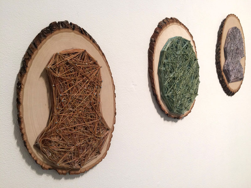  Obligatory Kin. 72"W x 18"H. Log Slices, Nails, Thread. (2014)