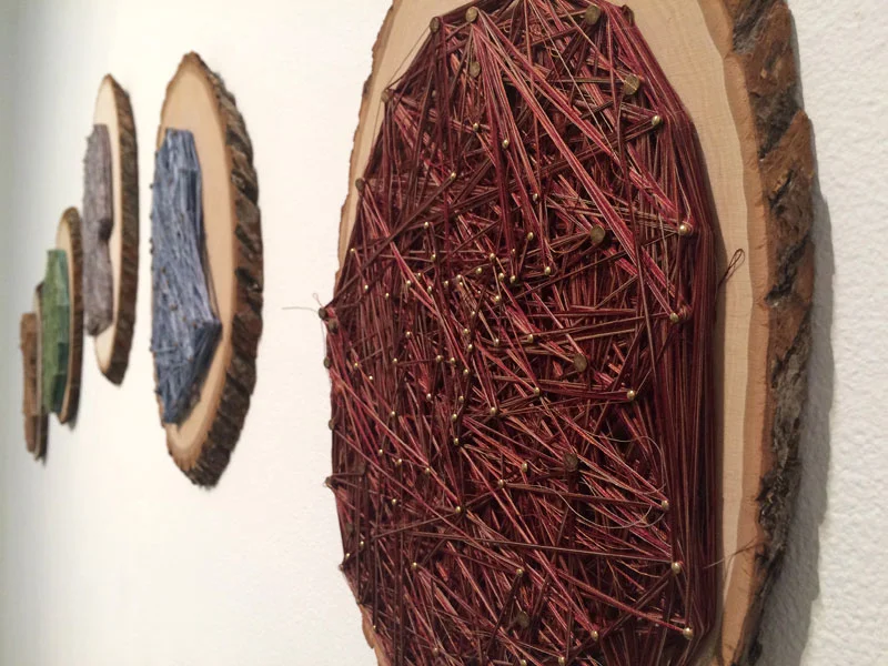 Obligatory Kin. 72"W x 18"H. Log Slices, Nails, Thread. (2014)