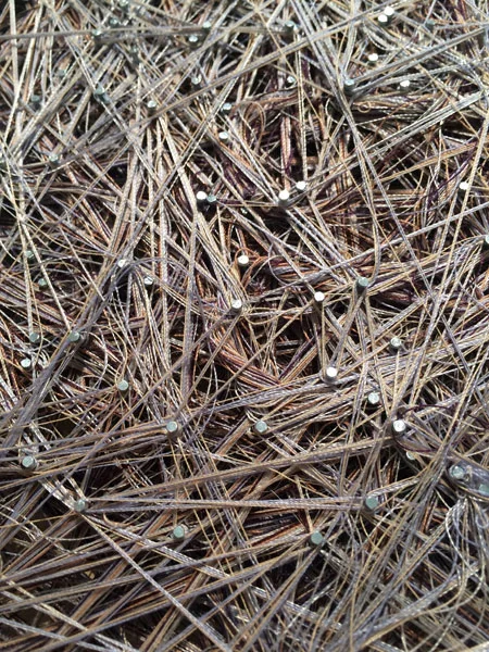 Obligatory Kin. 72"W x 18"H. Log Slices, Nails, Thread. (2014)